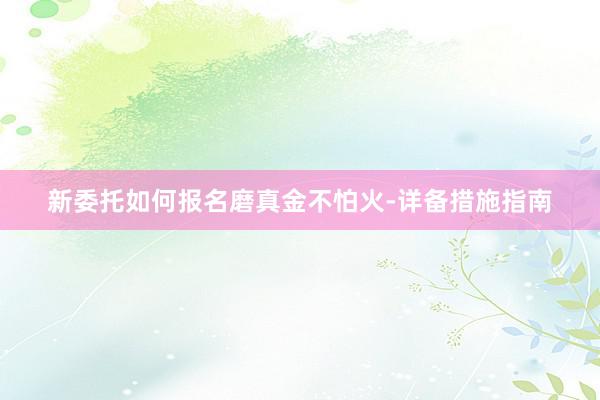 新委托如何报名磨真金不怕火-详备措施指南