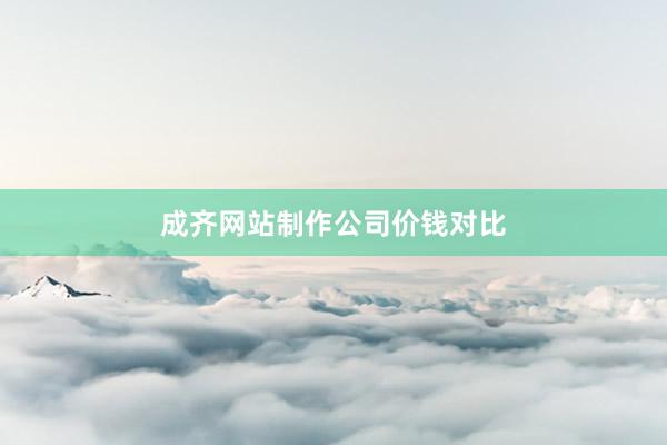 成齐网站制作公司价钱对比