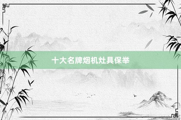 十大名牌烟机灶具保举