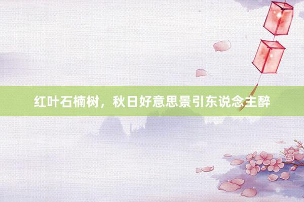 红叶石楠树，秋日好意思景引东说念主醉