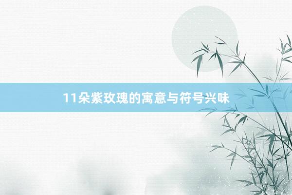 11朵紫玫瑰的寓意与符号兴味