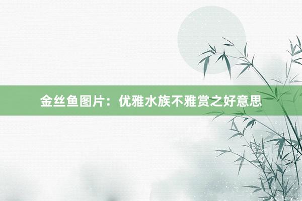 金丝鱼图片：优雅水族不雅赏之好意思